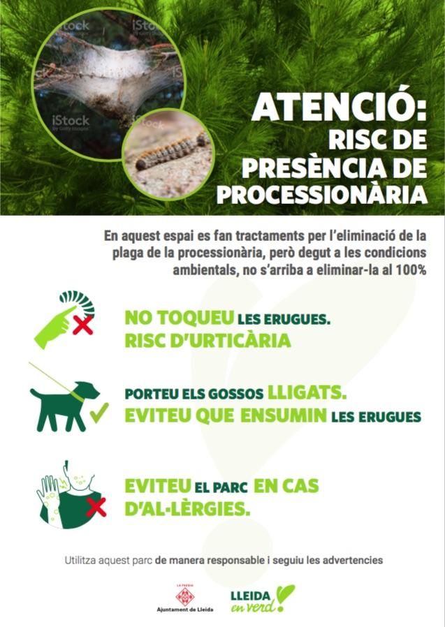 Recomanacions processionària Lleida
