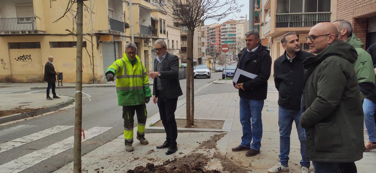 plantació arbrat Lleida