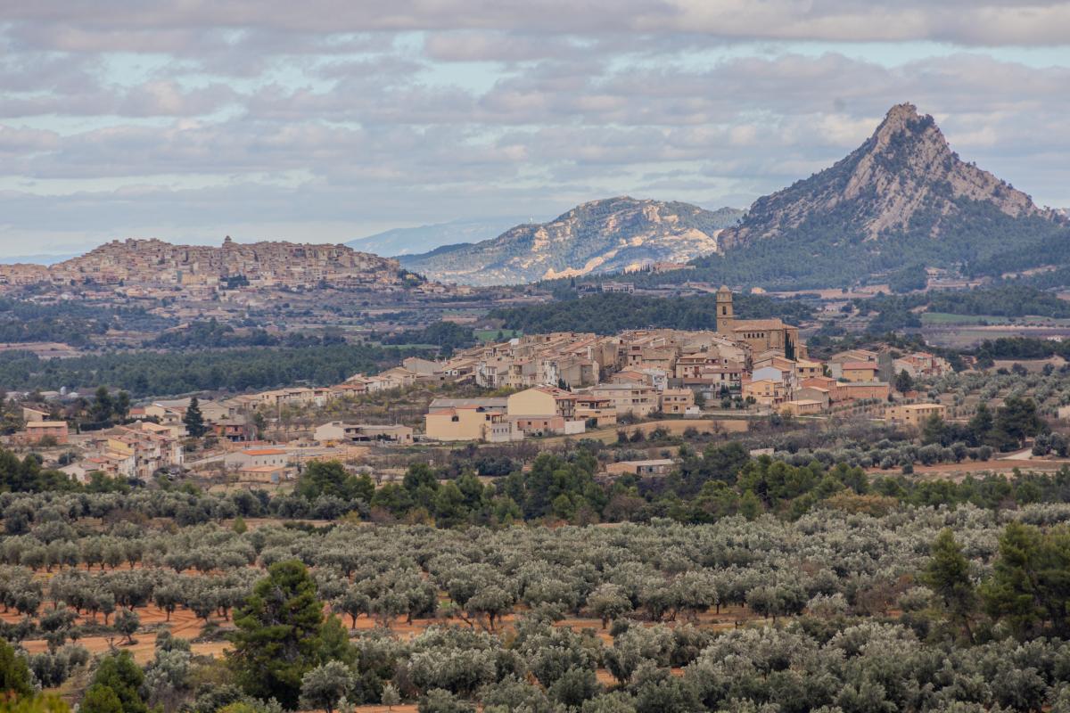 Horta de Sant Joan