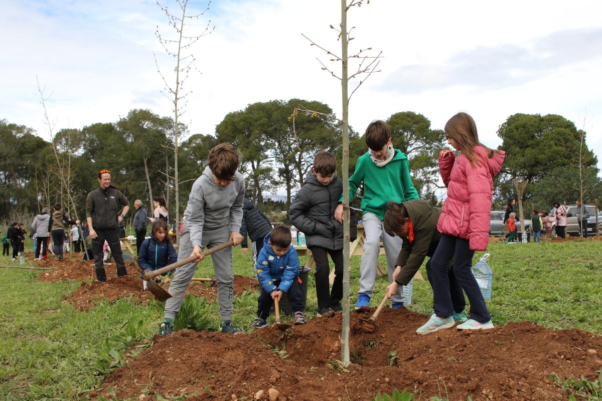 Roquetes celebra la Festa de l'Arbre 2025