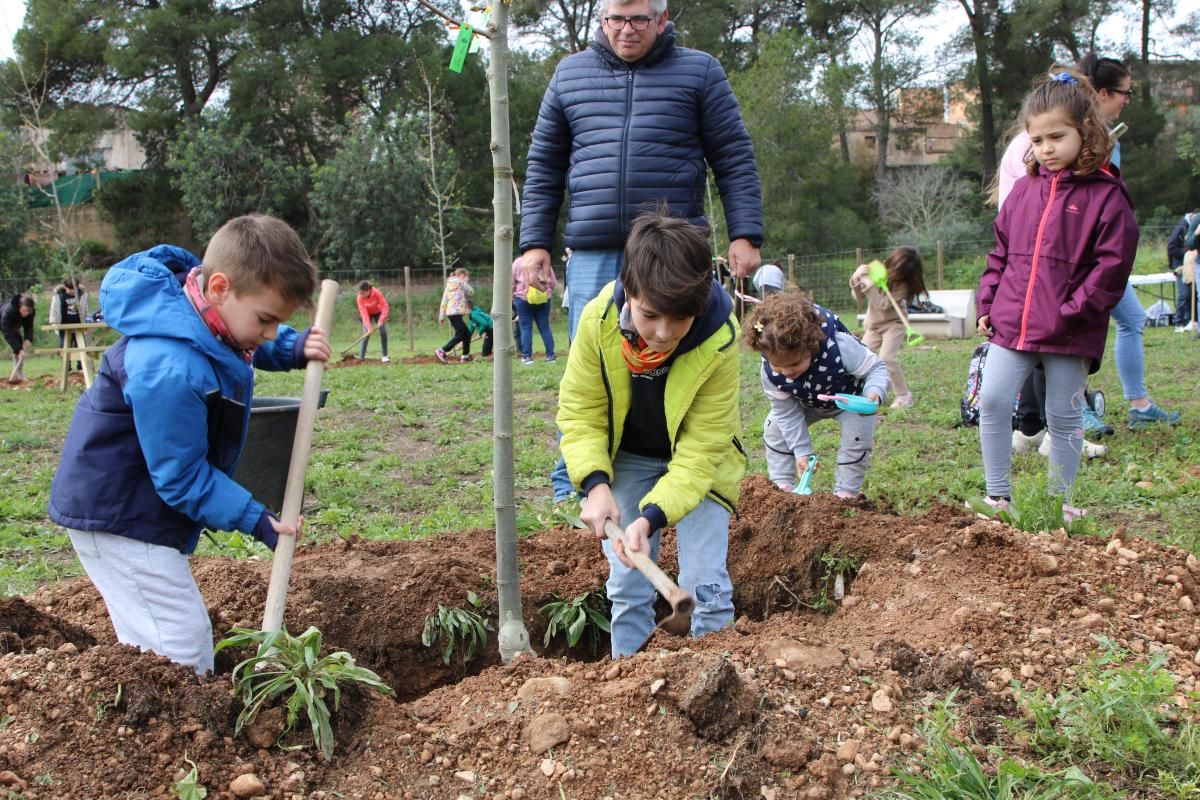Roquetes celebra la Festa de l'Arbre 2025