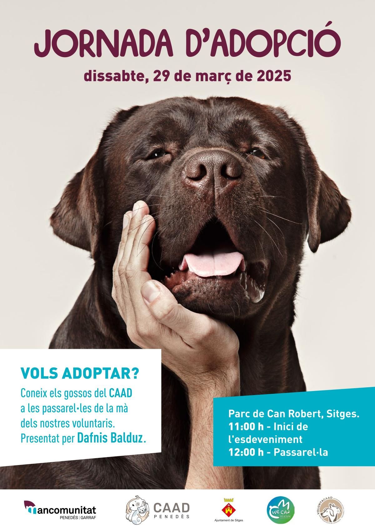 Jornada d'adopció de gossos a Sitges
