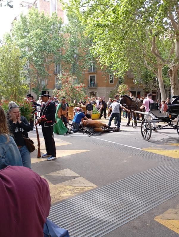 Un cavall mor en caure fulminat durant els Tres Tombs de Sant Antoni