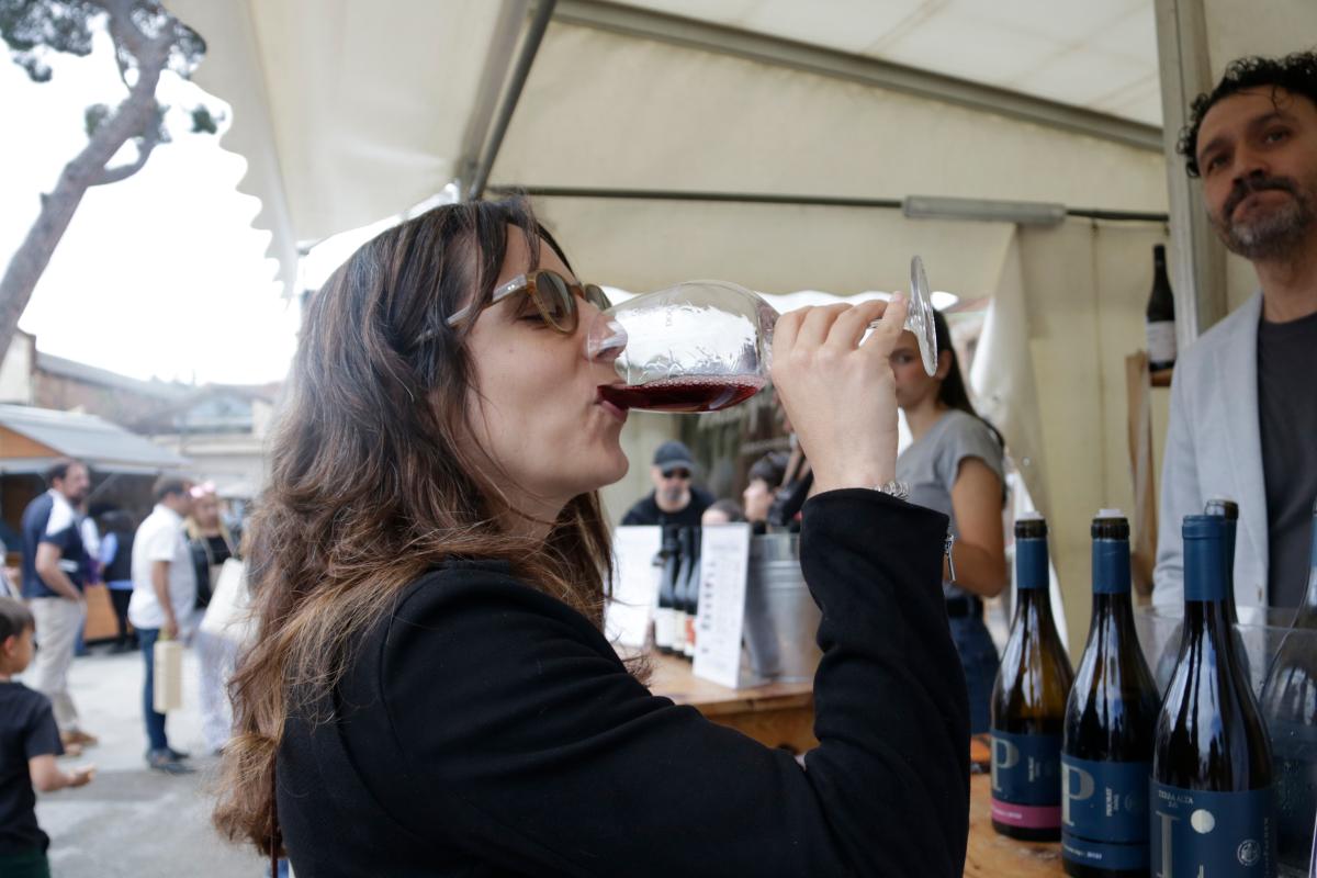 Fira del Vi de Falset 2025 4