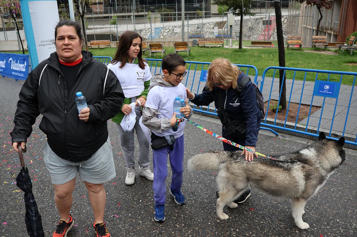 la undécima marcha Marc G.G