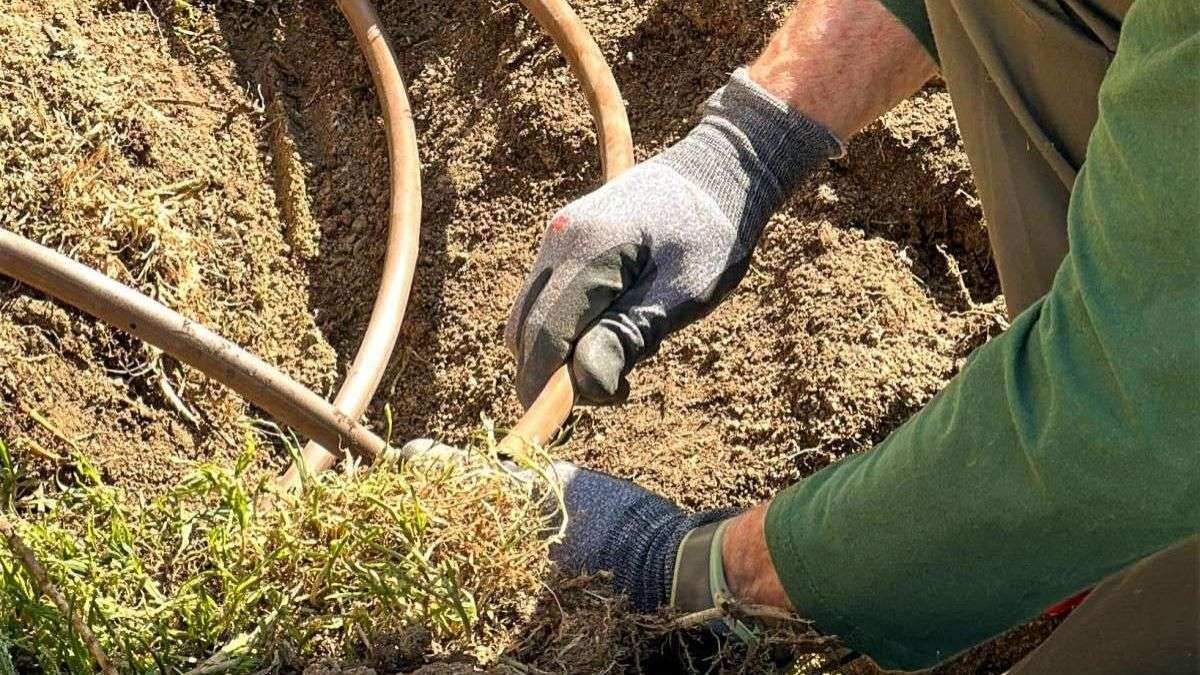 El reg agrícola també es té en compte