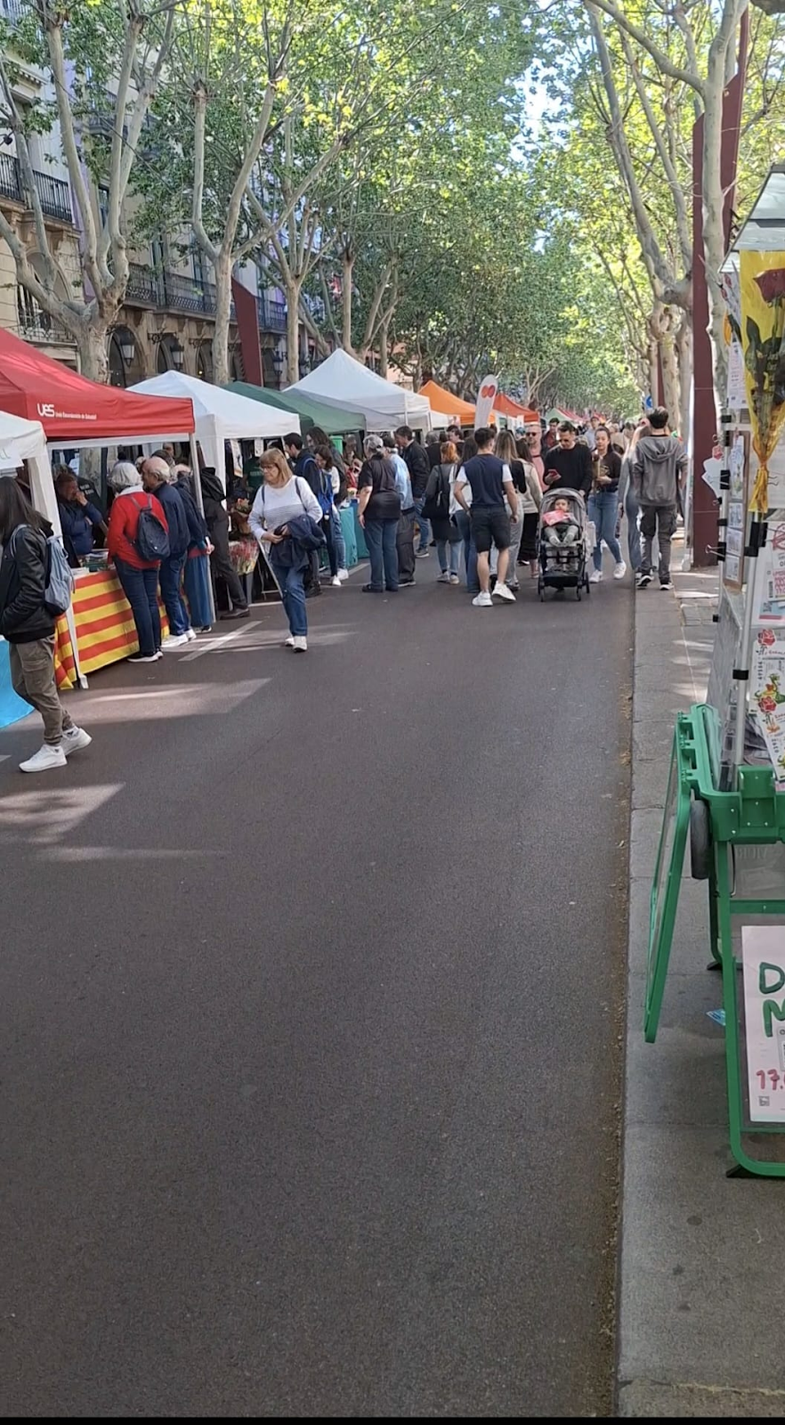 Sant Jordi 2025 a Sabadell 1