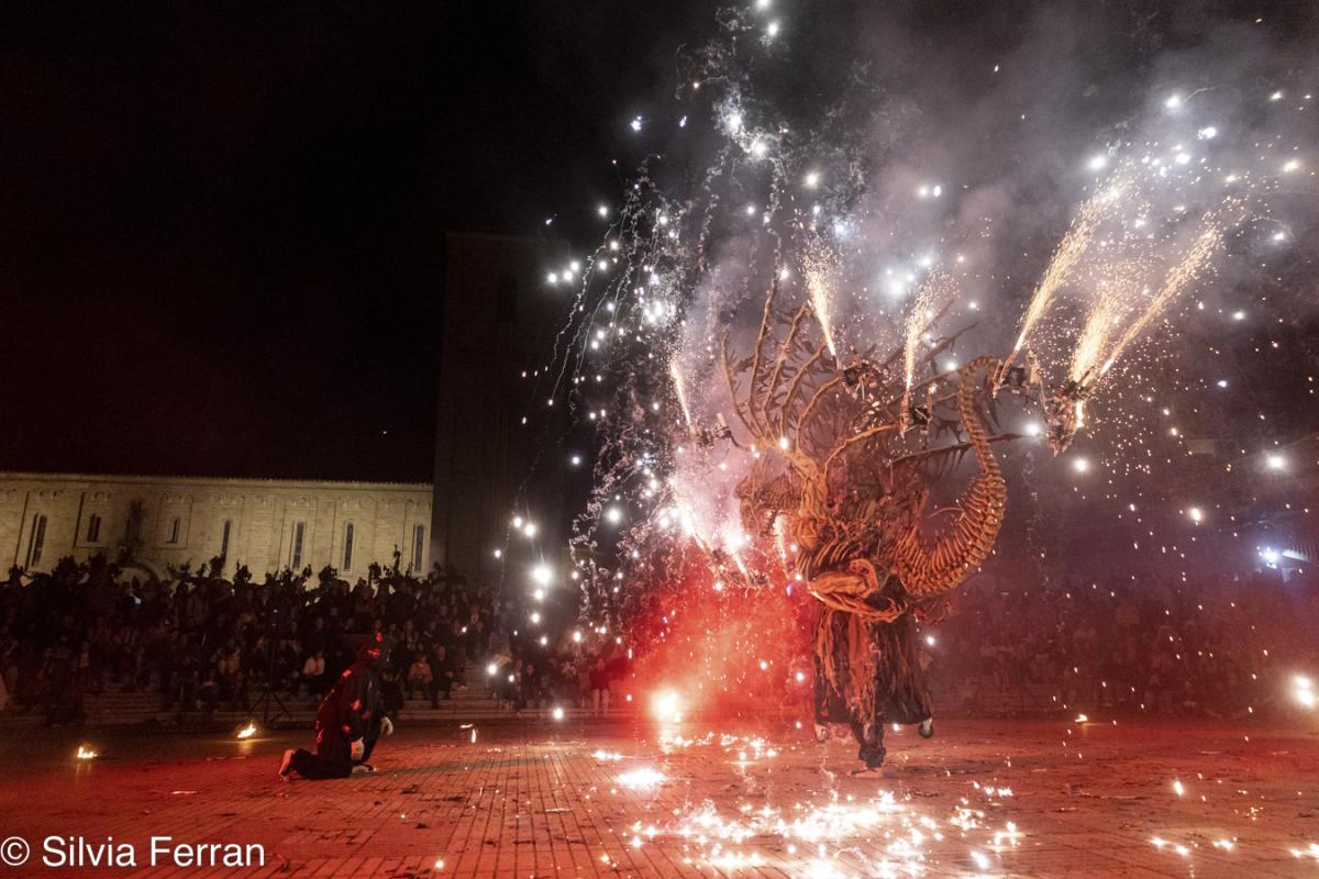 Diada Sant Jordi 2025 Parets del Vallès 2