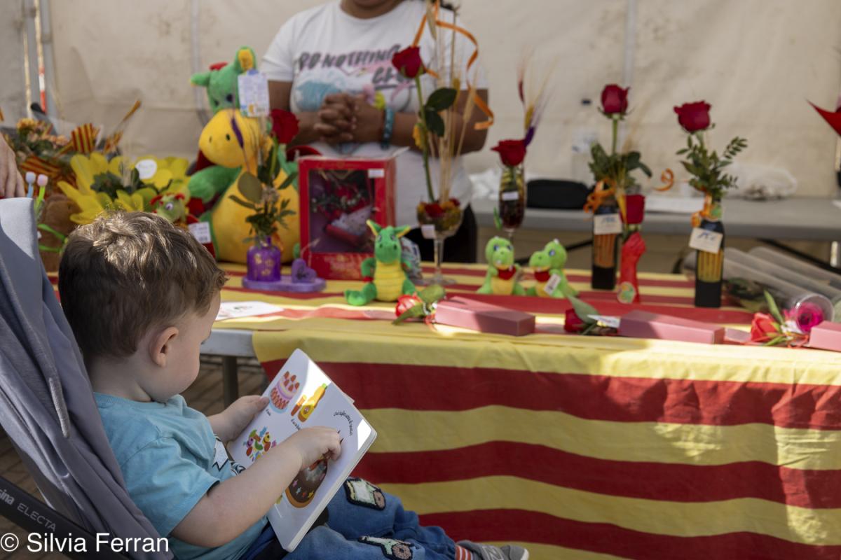 Diada Sant Jordi 2025 Parets del Vallès 2