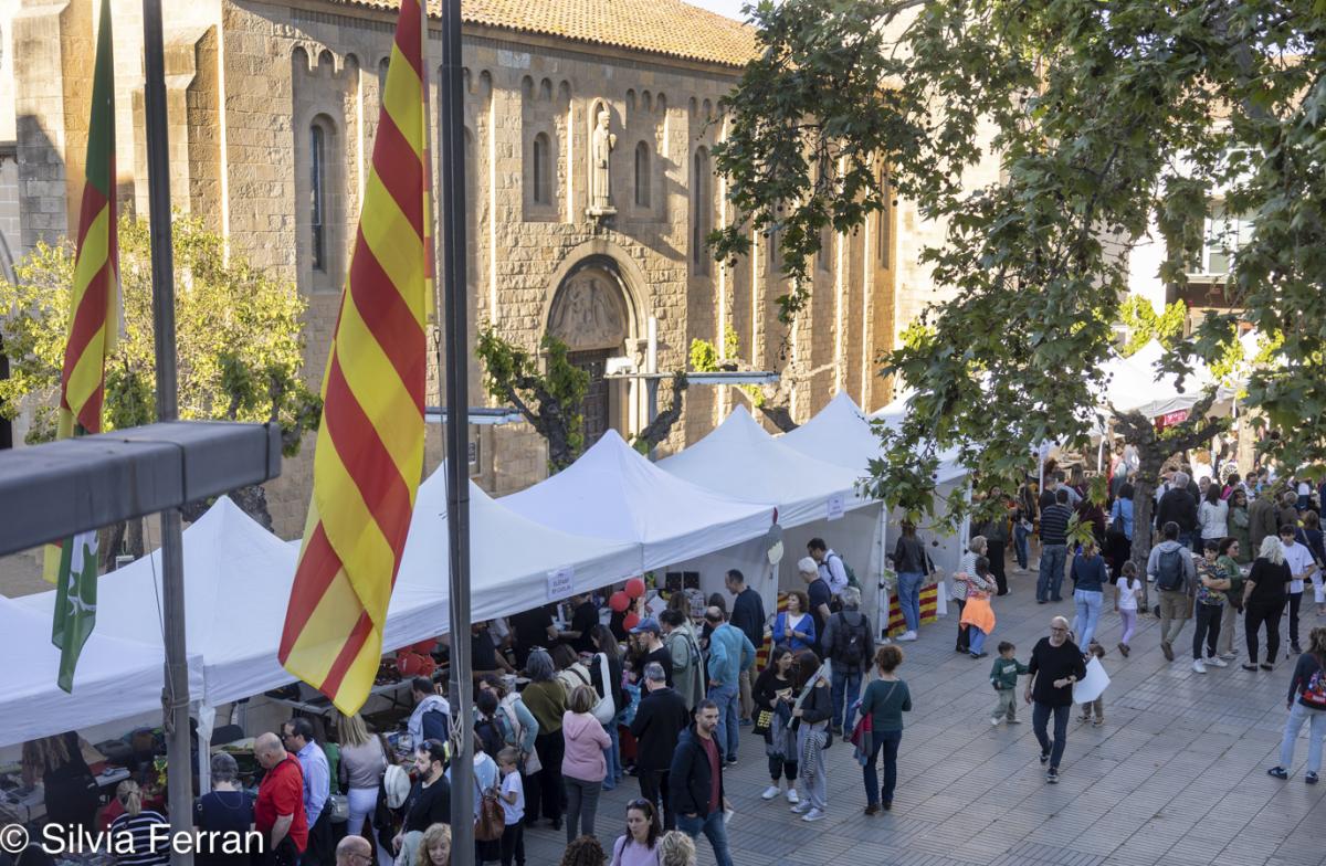 Diada Sant Jordi 2025 Parets del Vallès 2