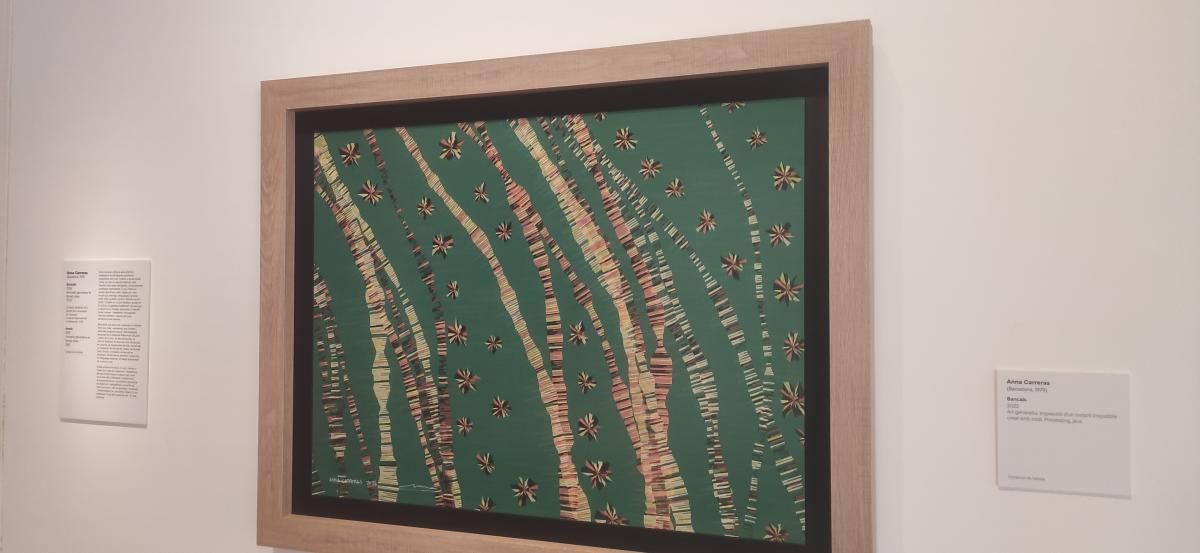 muestra Anna Carreras Museo Morera Lleida