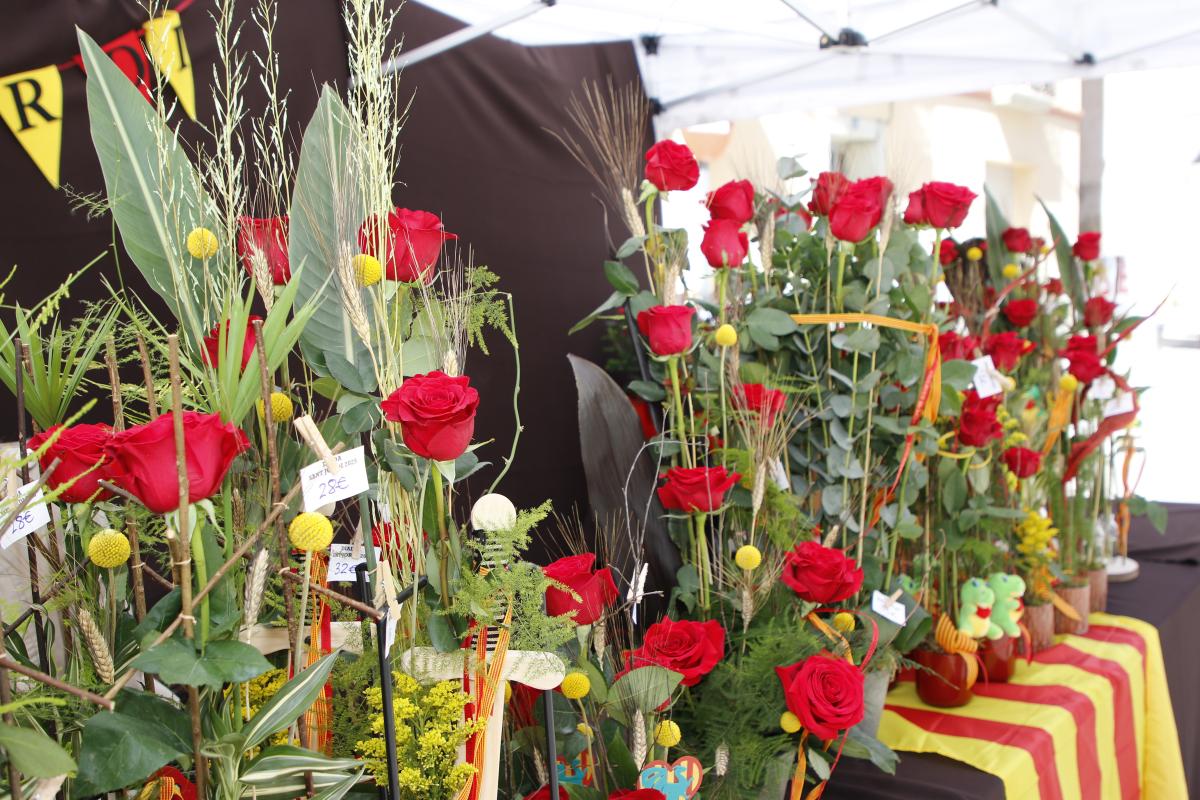 Sant Jordi a Roquetes 1