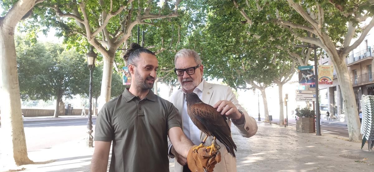 águila Harris control aves Lleida