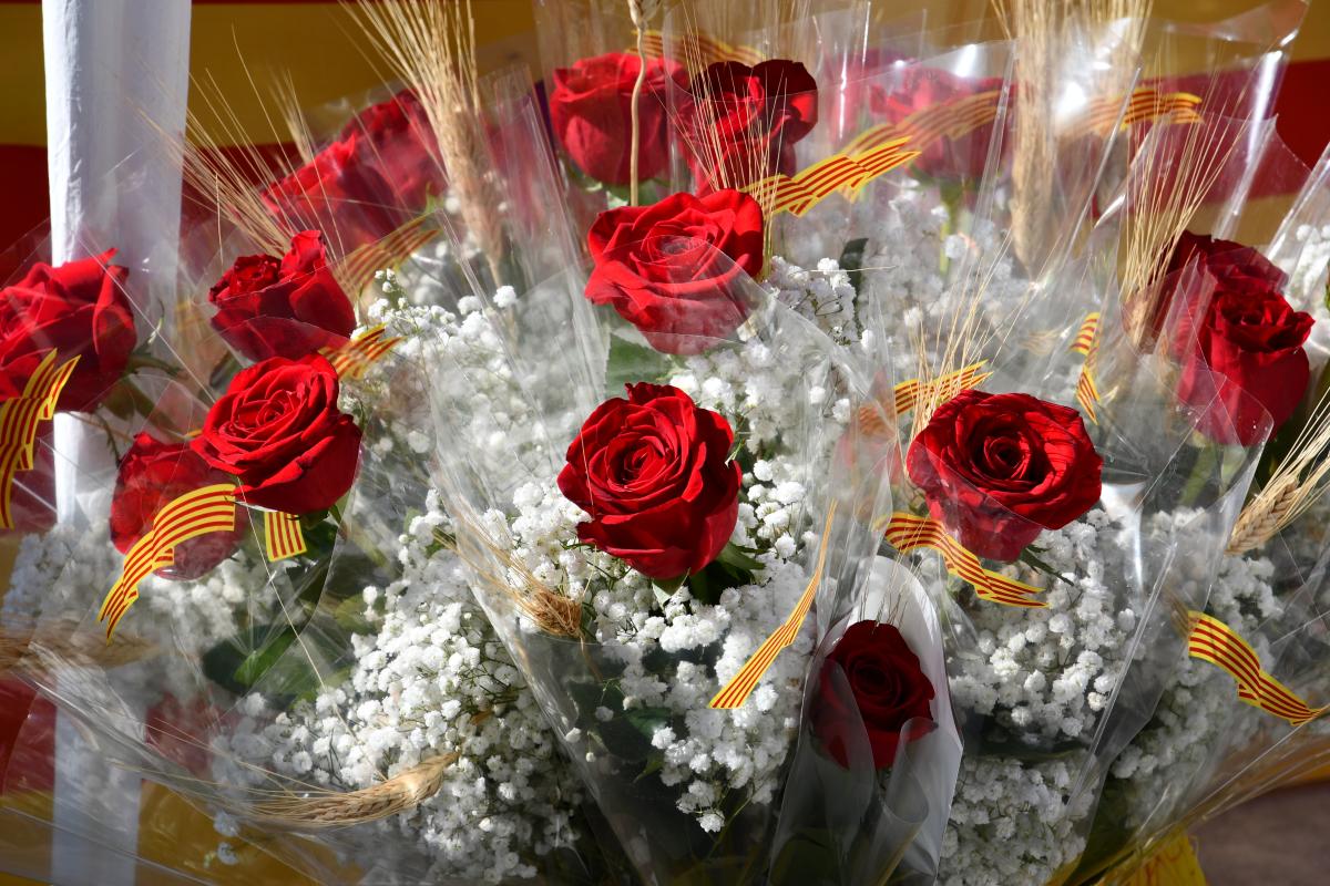 Sant Jordi 2025 brilla a Sitges