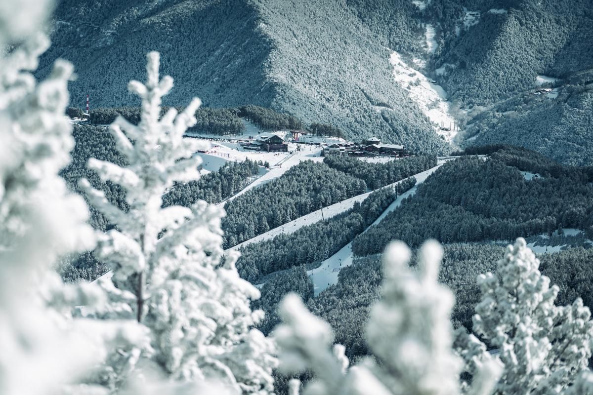 PAL ARINSAL