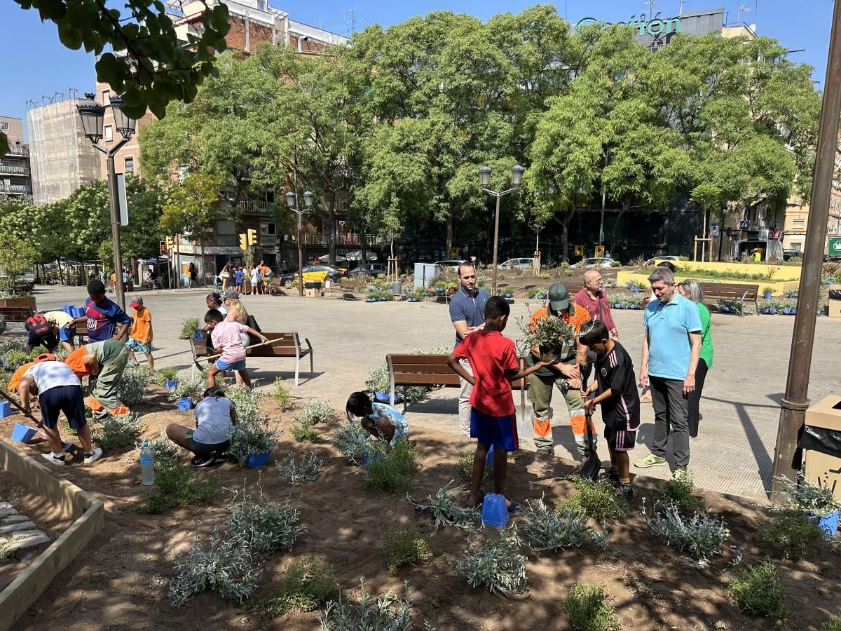 Unos 50 niños de L'Hospitalet plantan nueva vegetación en la plaza de Ibiza 1