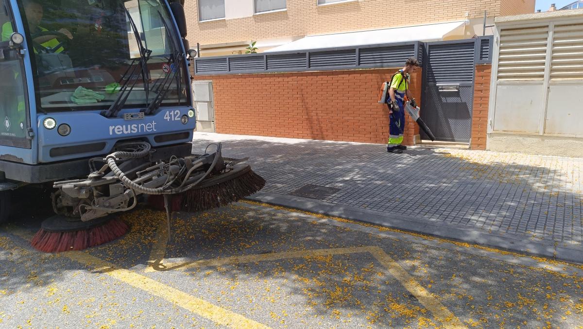 Recollida de flors de Reus Net 1