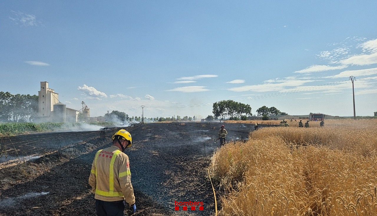 Un dels incendis provocats per un piròman de 18 anys a Vilanova de Bellpuig