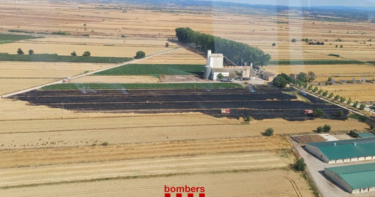 Imatge aèria d'un dels incendis provocats a Vilanova de Bellpuig per un piròman de 18 anys