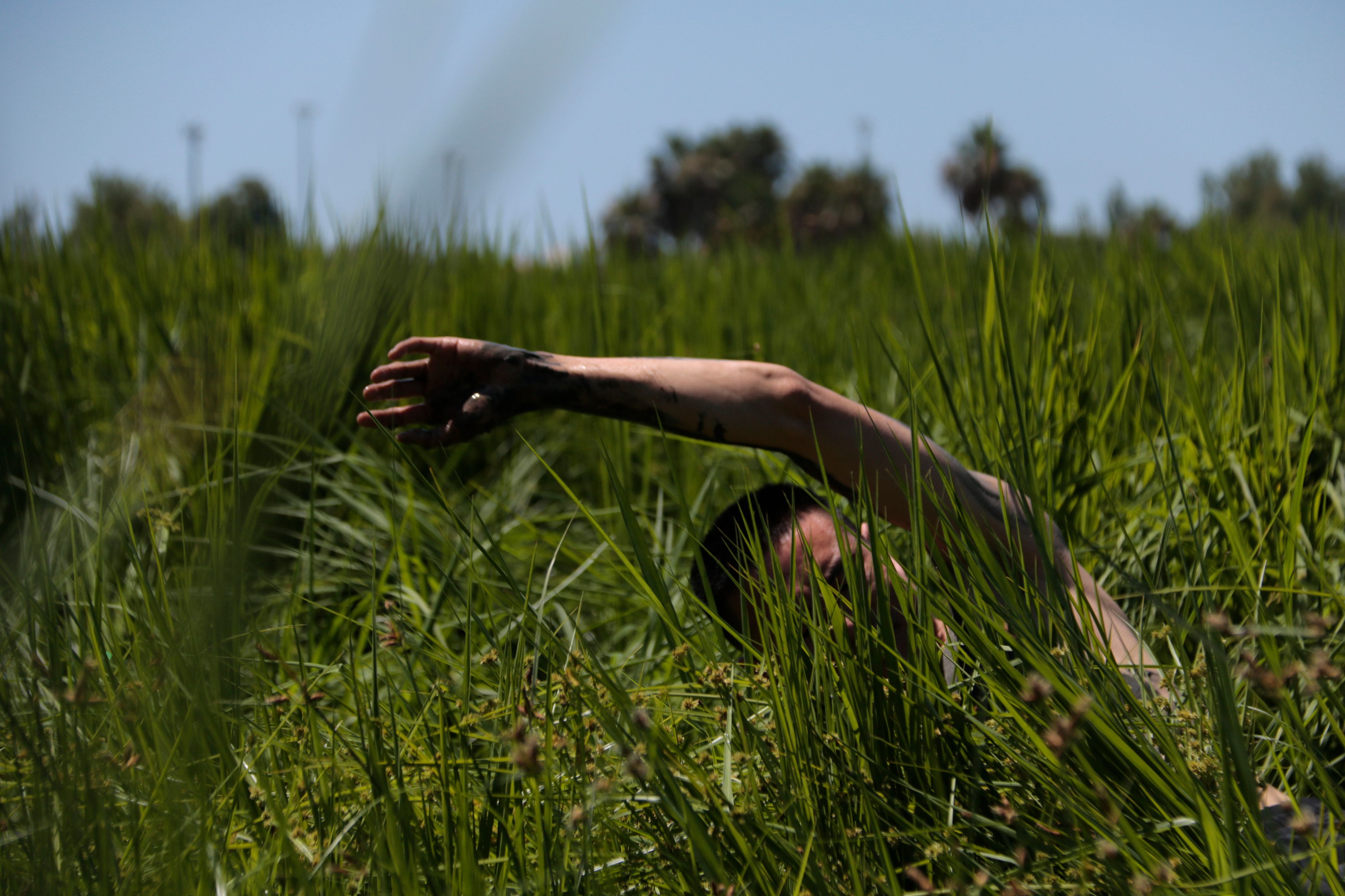 Deltebre Dansa 2025