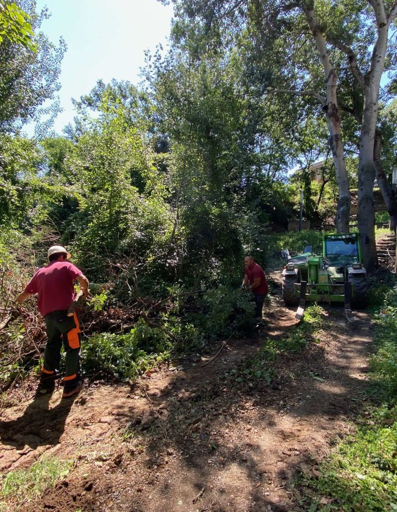 a brigada de Solsona netejant els efectes de la DANA 2 a brigada de Solsona netejant els efectes de la DANA 2