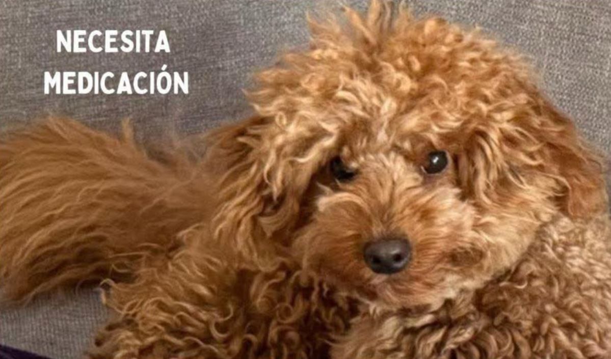 Foto del facebook de Isabel Faura