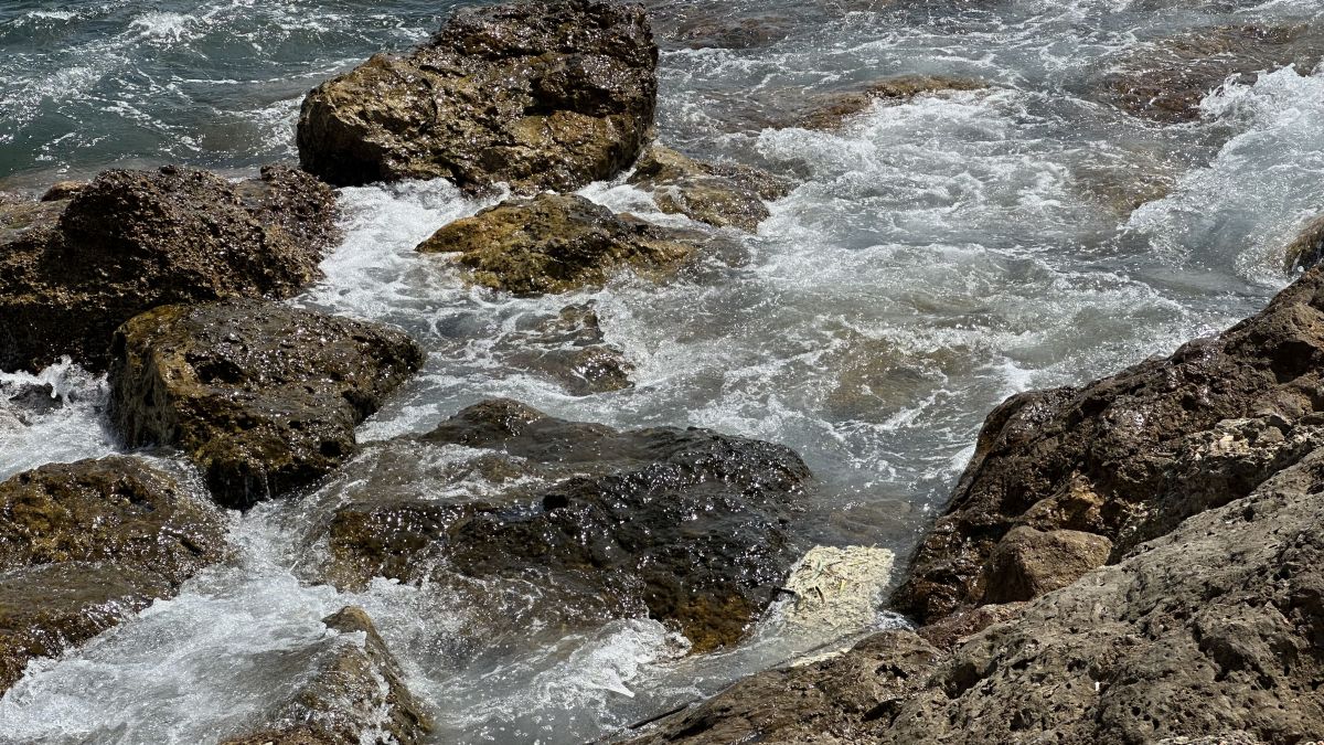 Restes de substància viscosa banca al litoral de l'Ametlla de Mar Restes de substància viscosa banca al litoral de l'Ametlla de Mar