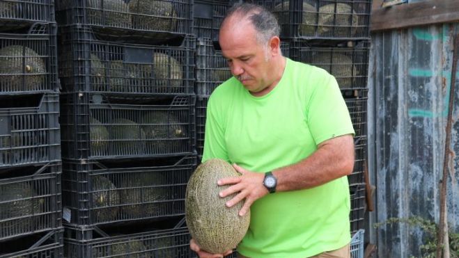 Xavier Oliva, de la Cooperativa Agrícola del Prat, amb un meló de la seva collita