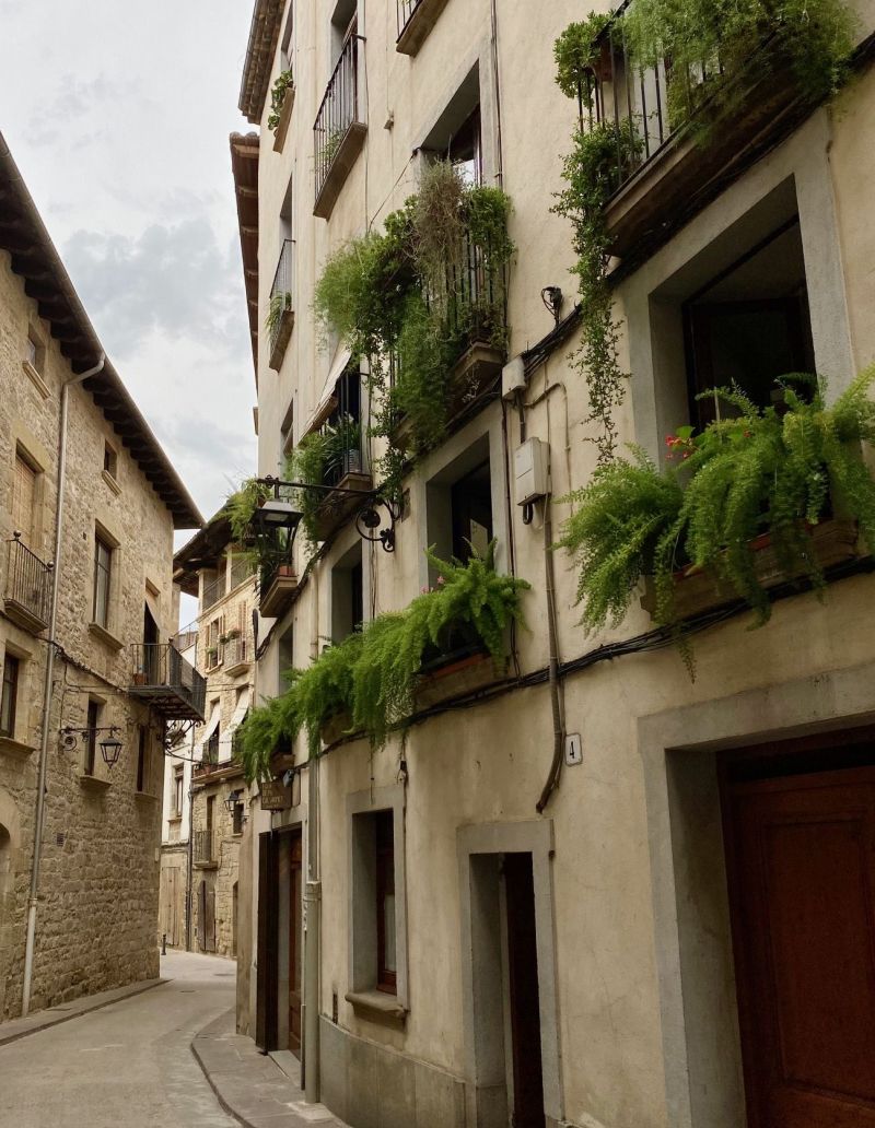 35è Concurs de flors als balcons de Solsona 1
