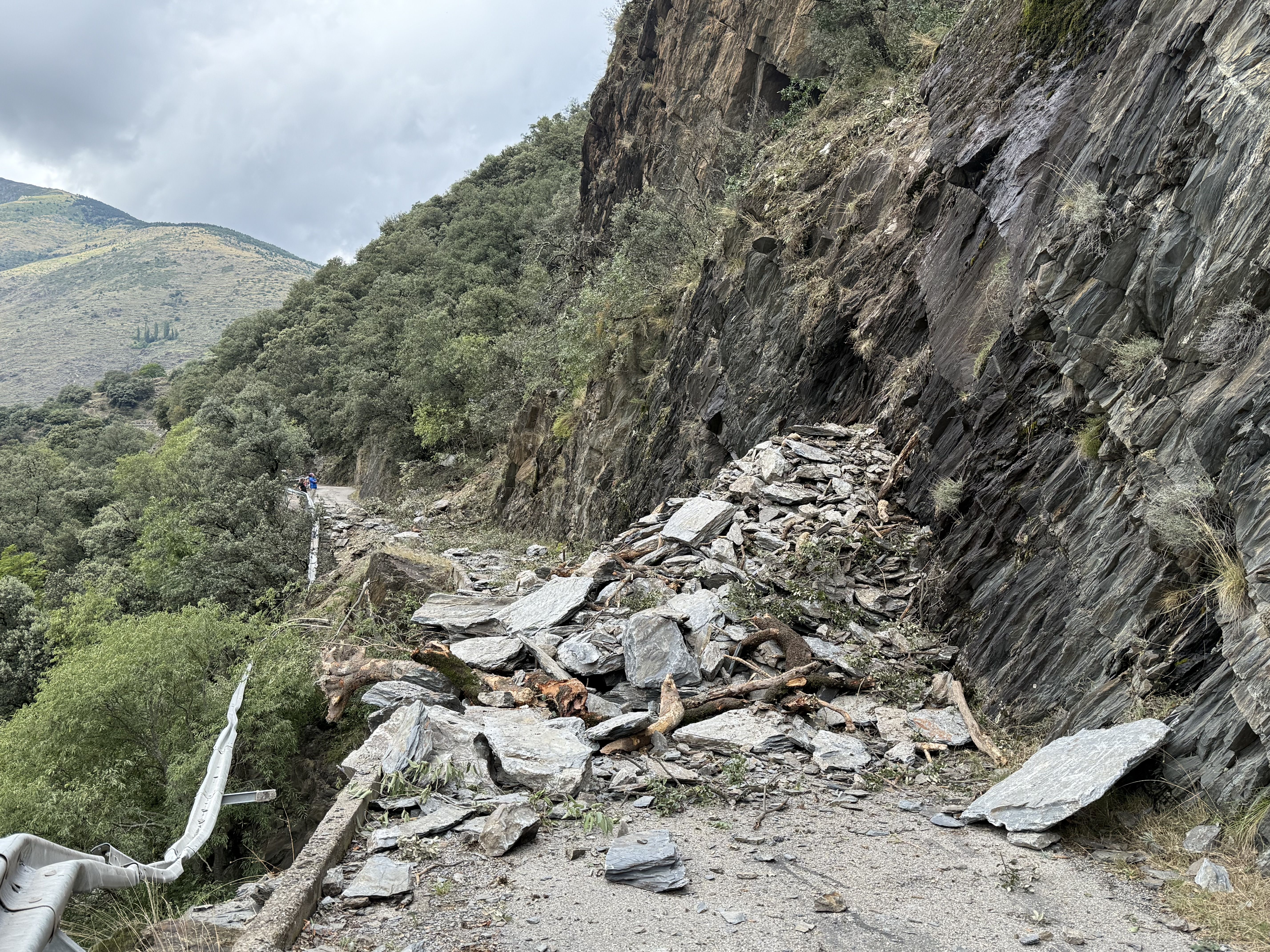 ACN / L'esllavissada de pedres i arbres a la carretera d'Escàs (Pallars Sobirà) que ha tallat la via