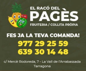 Disseny sense títol (10)