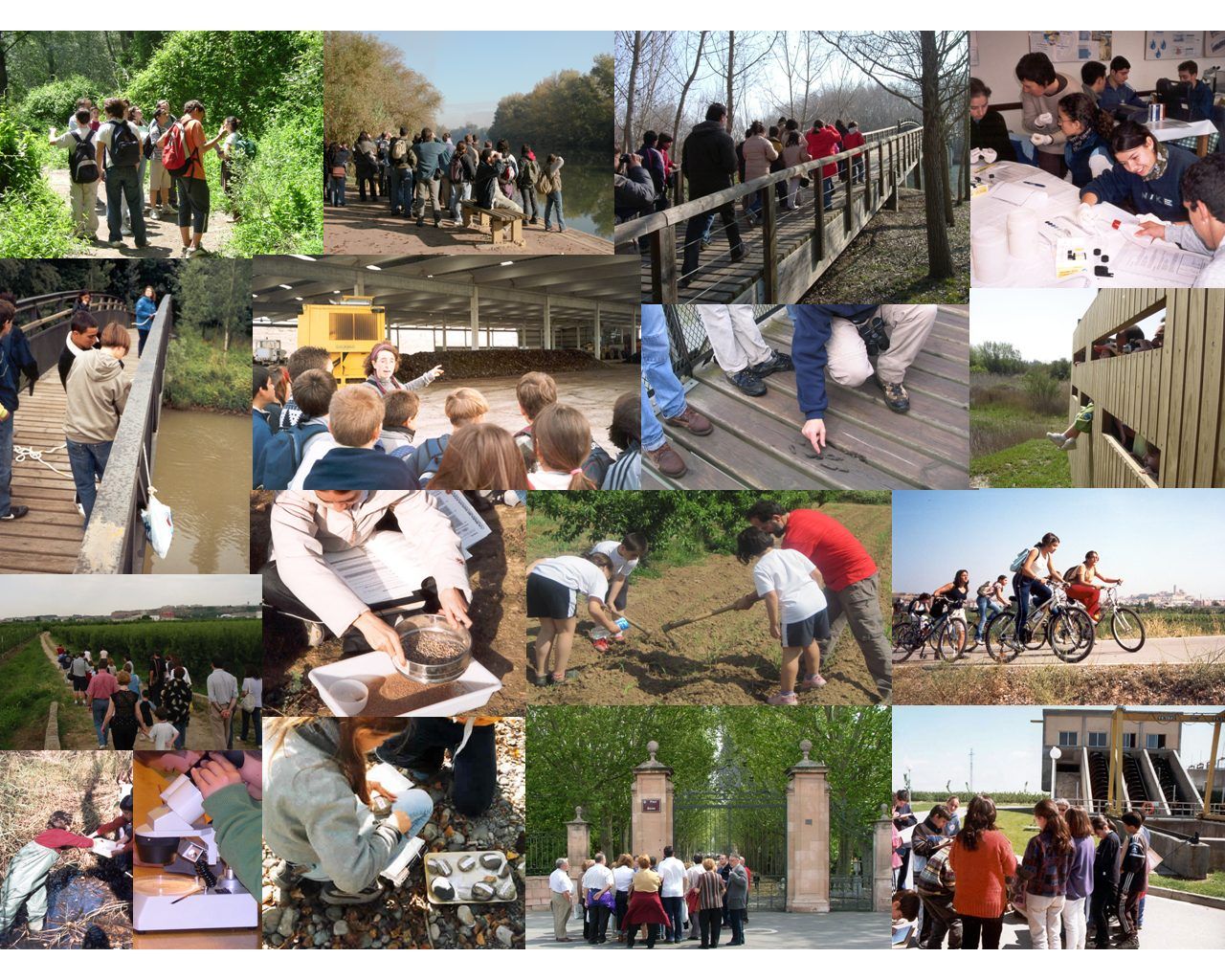 Collage de actividades realizadas en Lleida en Viu