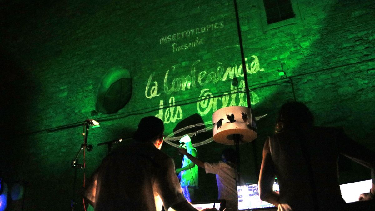 L'espectacle 'La Conferència dels Ocells' de la companyia Insectotròpics, a Fira Tàrrega 2025 L'espectacle 'La Conferència dels Ocells' de la companyia Insectotròpics, a Fira Tàrrega 2025