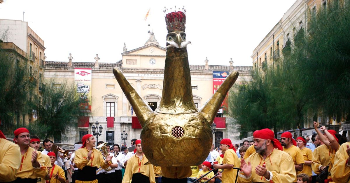 https://laciutat.cat/uploads/s1/37/70/94/9/aliga-tarragona-font-santa-tecla_23_1200x630.jpeg