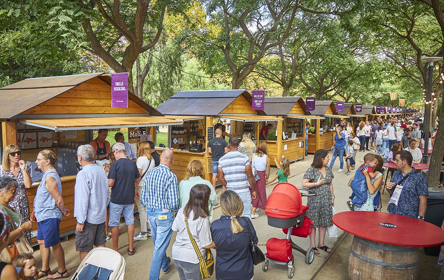Festival del Vi i la Gastronomia de Cambrils 1
