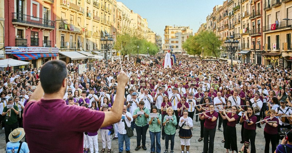 sta tecla1 (1)
