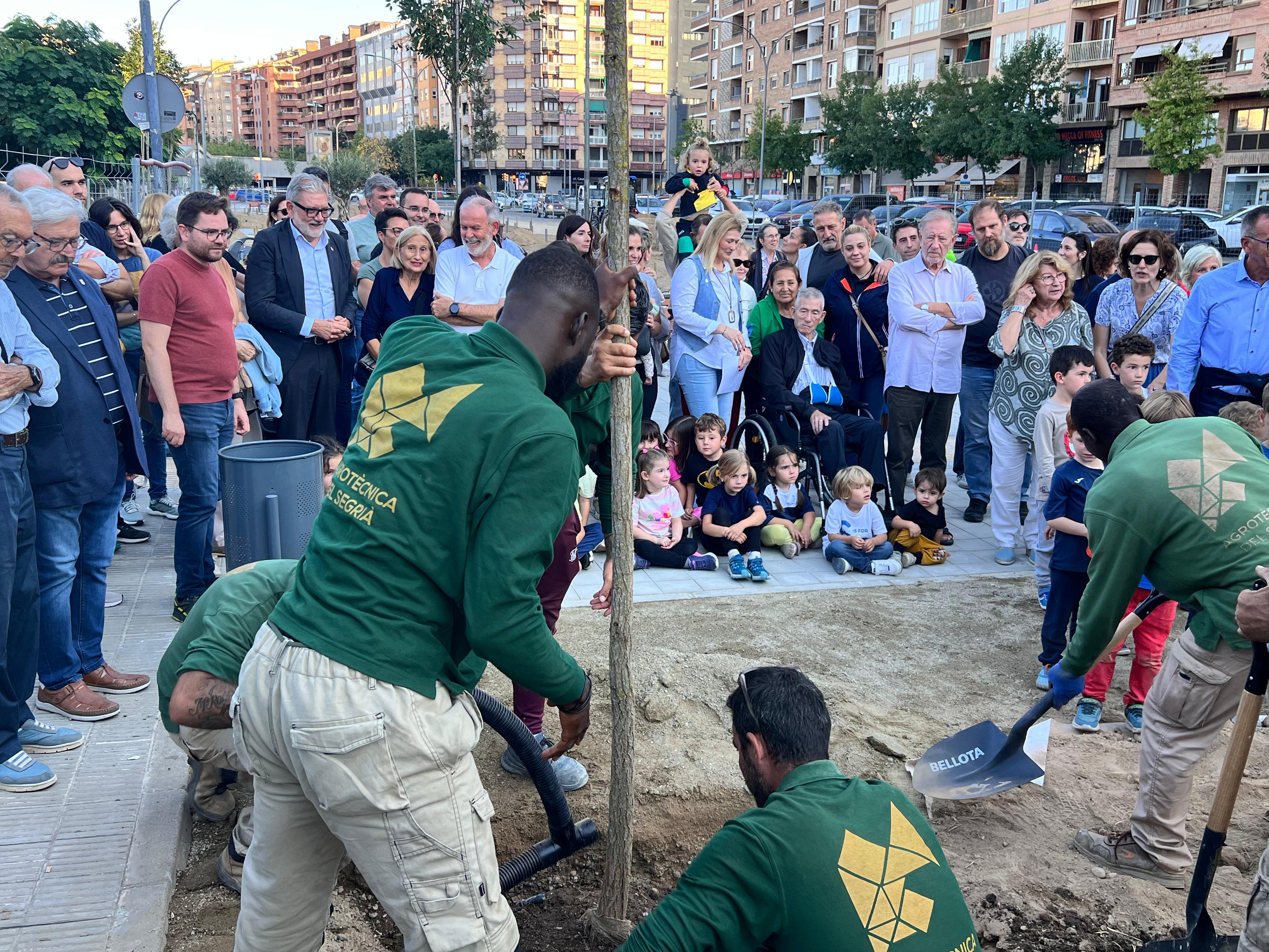 Éxito de participación en la plantación popular de árboles en la Avenida Doctor Fleming con cerca de un centenar de participantes