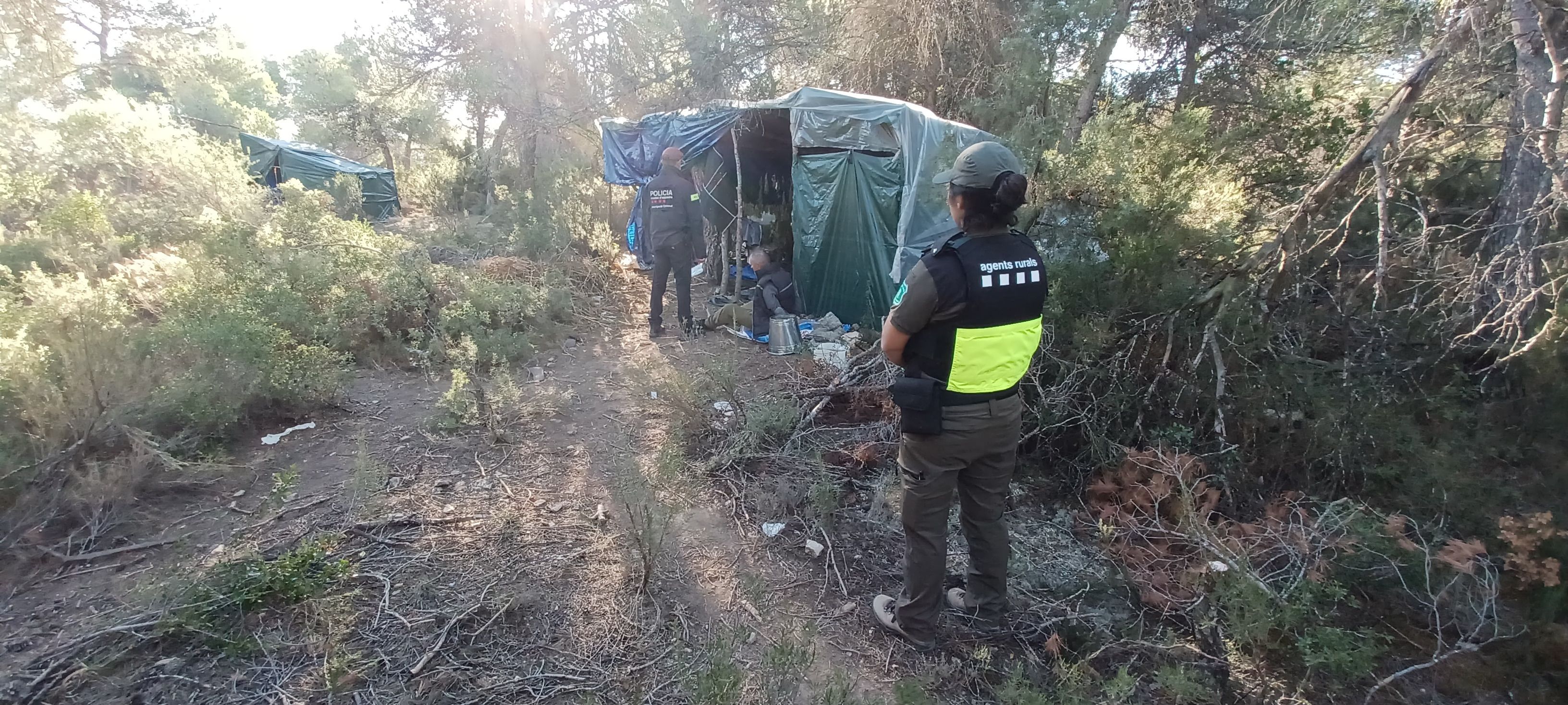 ACN / Un agent rural i un mossos d'esquadra custodiant un detingut a la plantació de marihuana de Fulleda