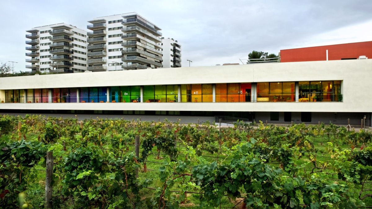 78 Viles florides espais verds Sant Joan Despí 3 78 Viles florides espais verds Sant Joan Despí 3