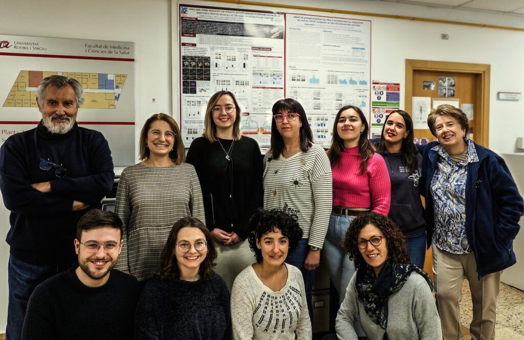 Un equip investigador de la URV revela com una dieta rica en antioxidants pot prevenir el deteriorament neuromuscular