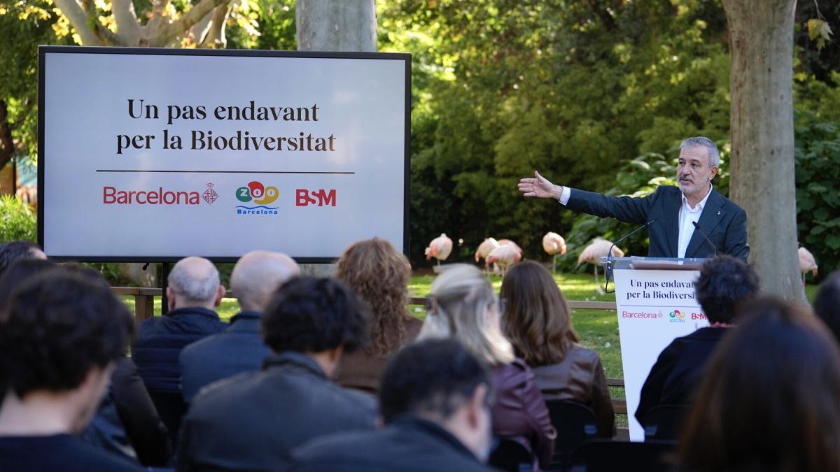 Jaume Collboni presenta el futur del Zoo de Barcelona amb més pes per a la preservació de la biodiversitat Jaume Collboni presenta el futur del Zoo de Barcelona amb més pes per a la preservació de la biodiversitat