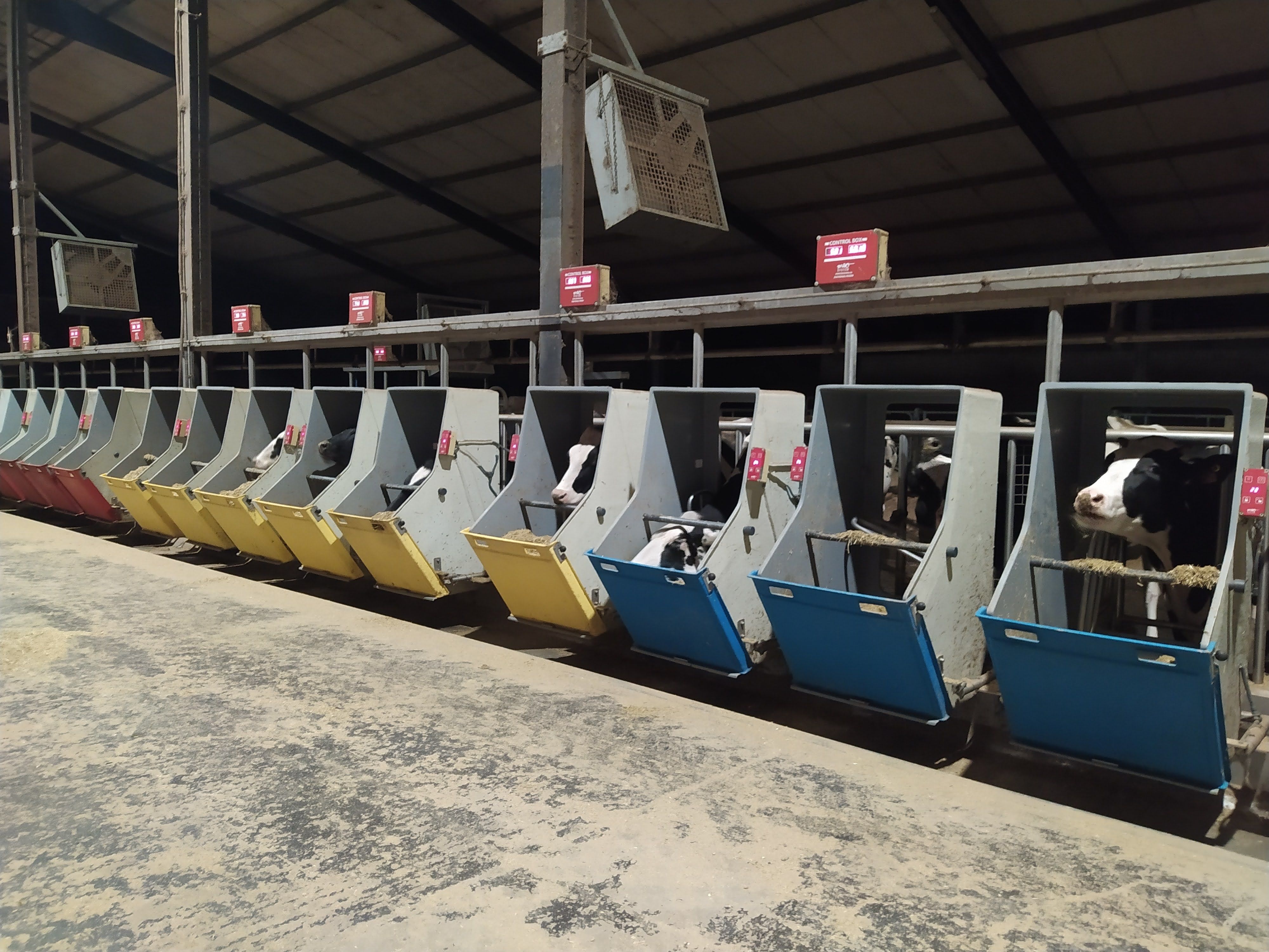 Instal·lacions de l’IRTA EVAM, on s’analitza l’impacte de la dieta amb pomes sobre la producció i la fermentació ruminal de les vaques lleteres