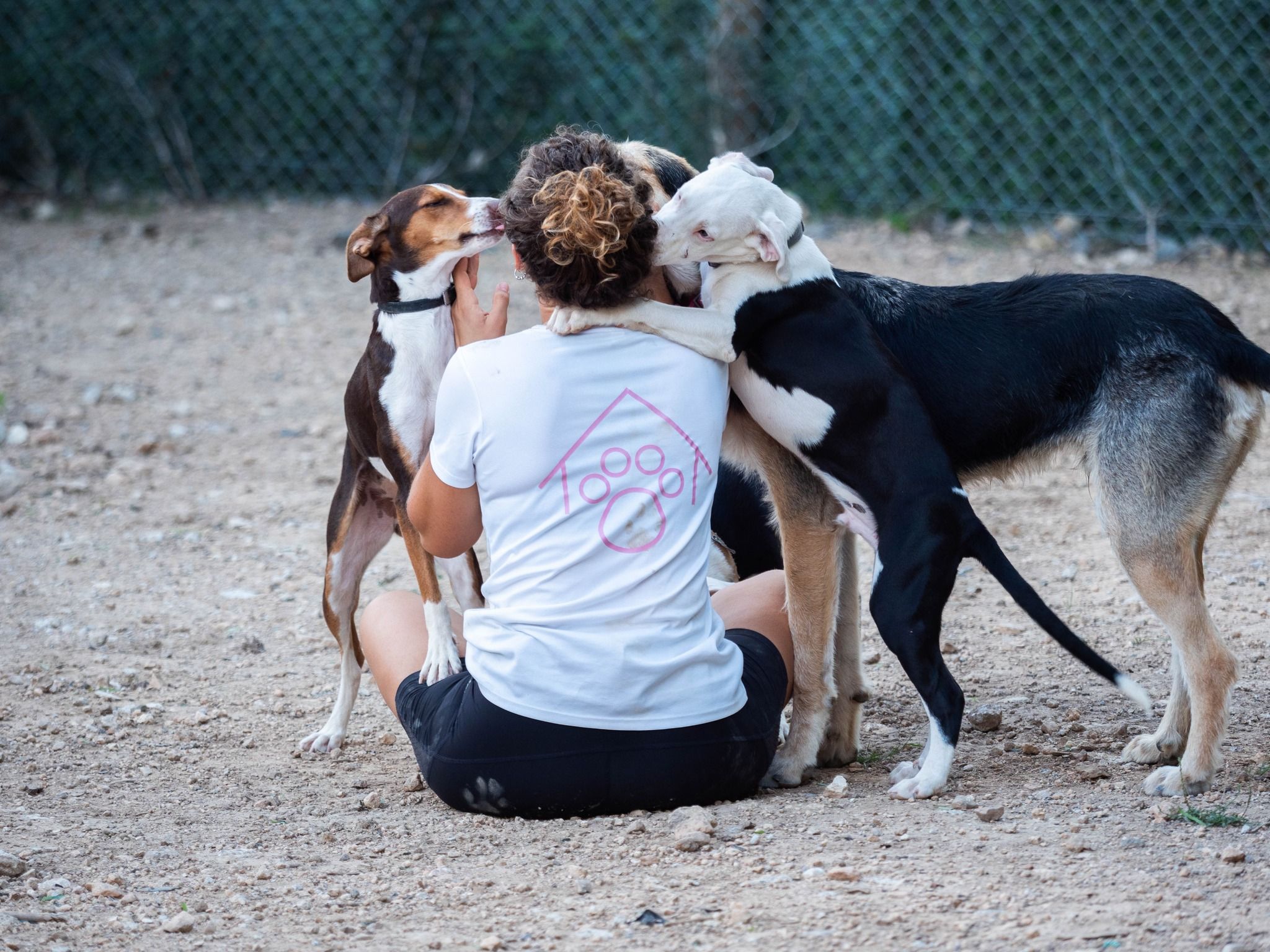 Centre d'Acollida d'Animals Domèstics de Calafell | FOTO: CAAD Calafell
