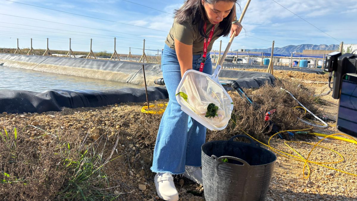 L’IRTA lidera el projecte europeu BLUEBOOST per impulsar una economia blava més sostenible 2
