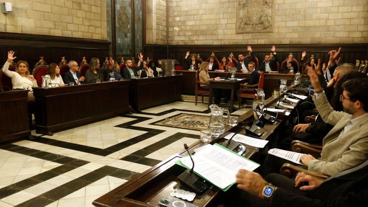 El ple de Girona aprova la moció de la plataforma per crear un grup de seguiment veïnal centrat en la recollida d'escombraries