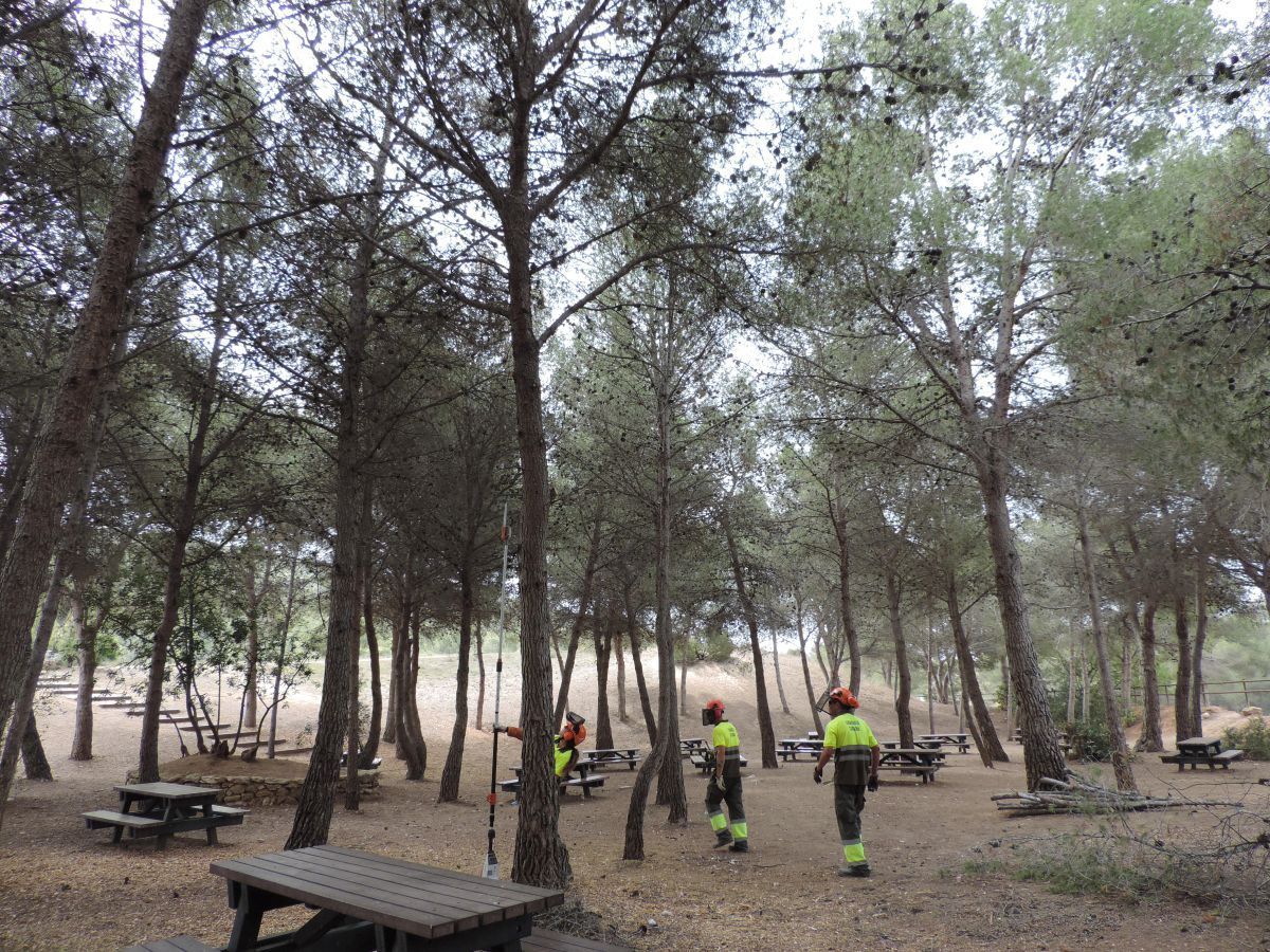 La Fundació Santa Teresa rebrà 25.000 € per millorar el Fondo del Mata amb un projecte inclusiu 1