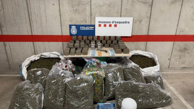 176be643 a49e 4ee4 874f 9a0013a781d6