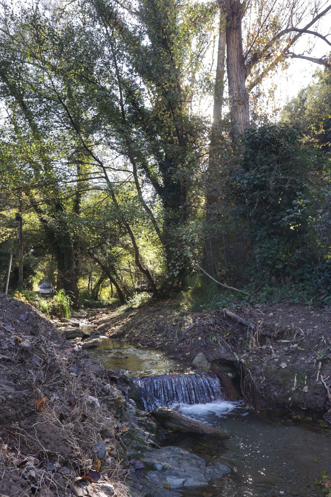 El projecte s’acosta a la fase final i reforça el corredor natural entre Collserola i el riu Llobregat 1