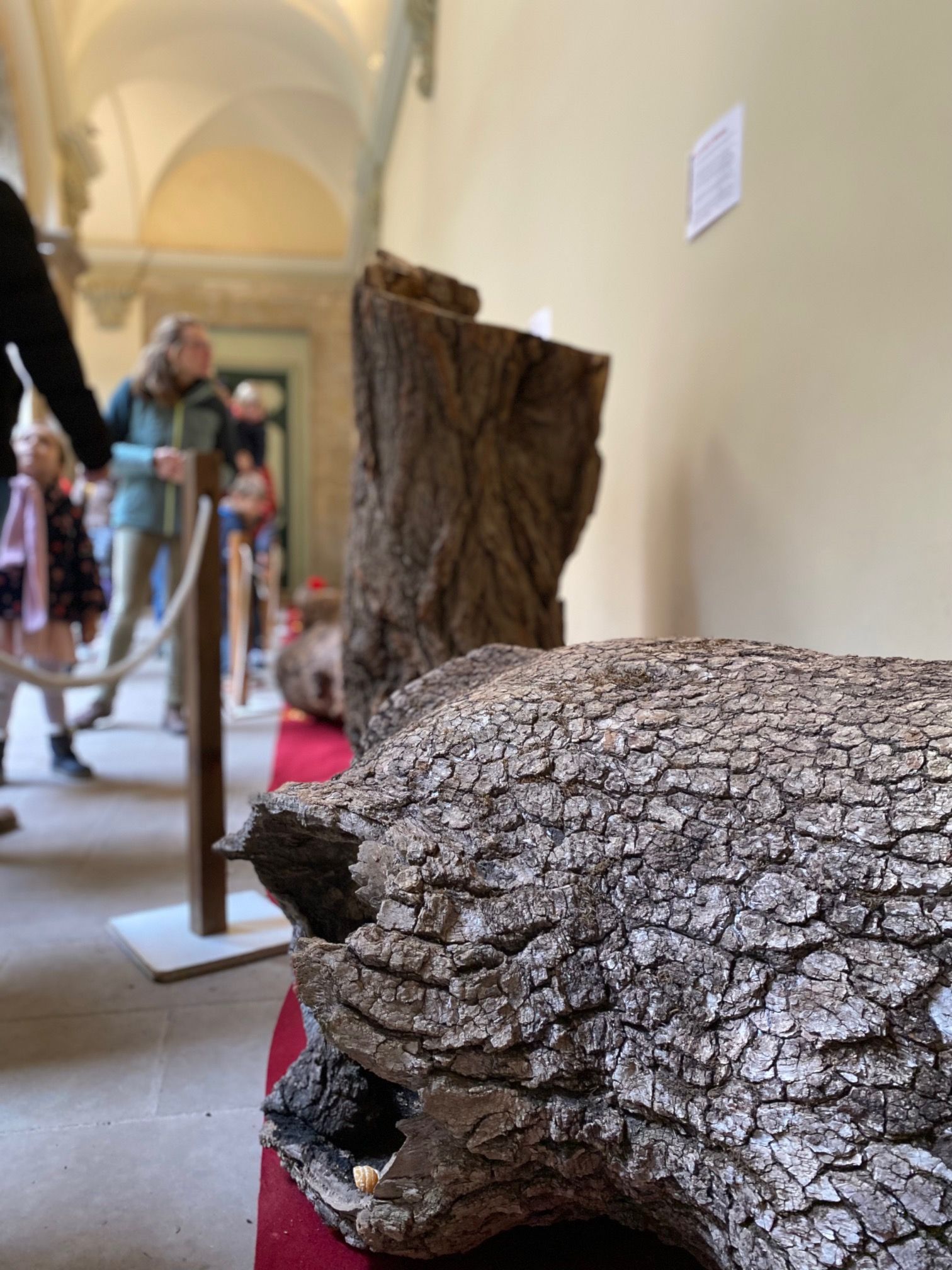 Fira del tió de Solsona 1