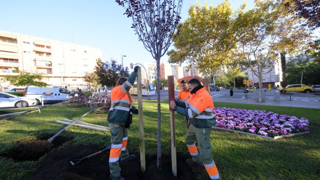 Plantació jardins d'Antonio Machado 2